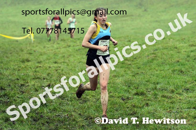 Girls under-15s, NECAA Junior Cross Country Relays, Thornley Farm, Peterlee, Saturday, December 12th. Photo: David T. Hewitson/Sports for All Pics